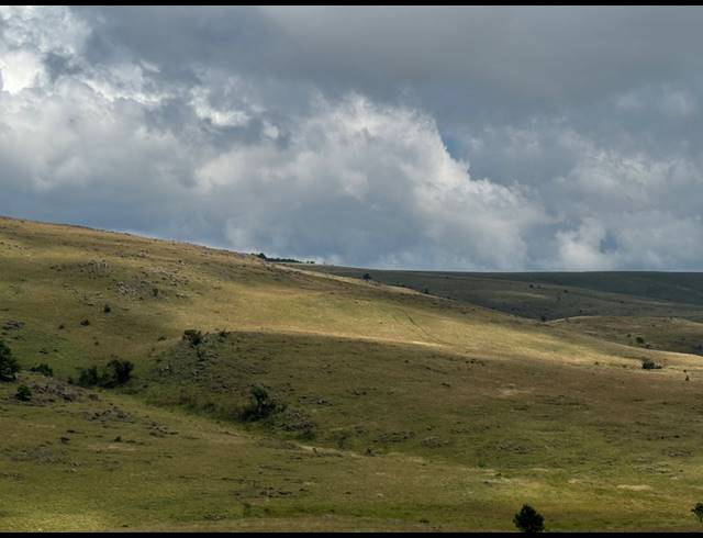 1,730HA FARM FOR SALE IN DARGLE